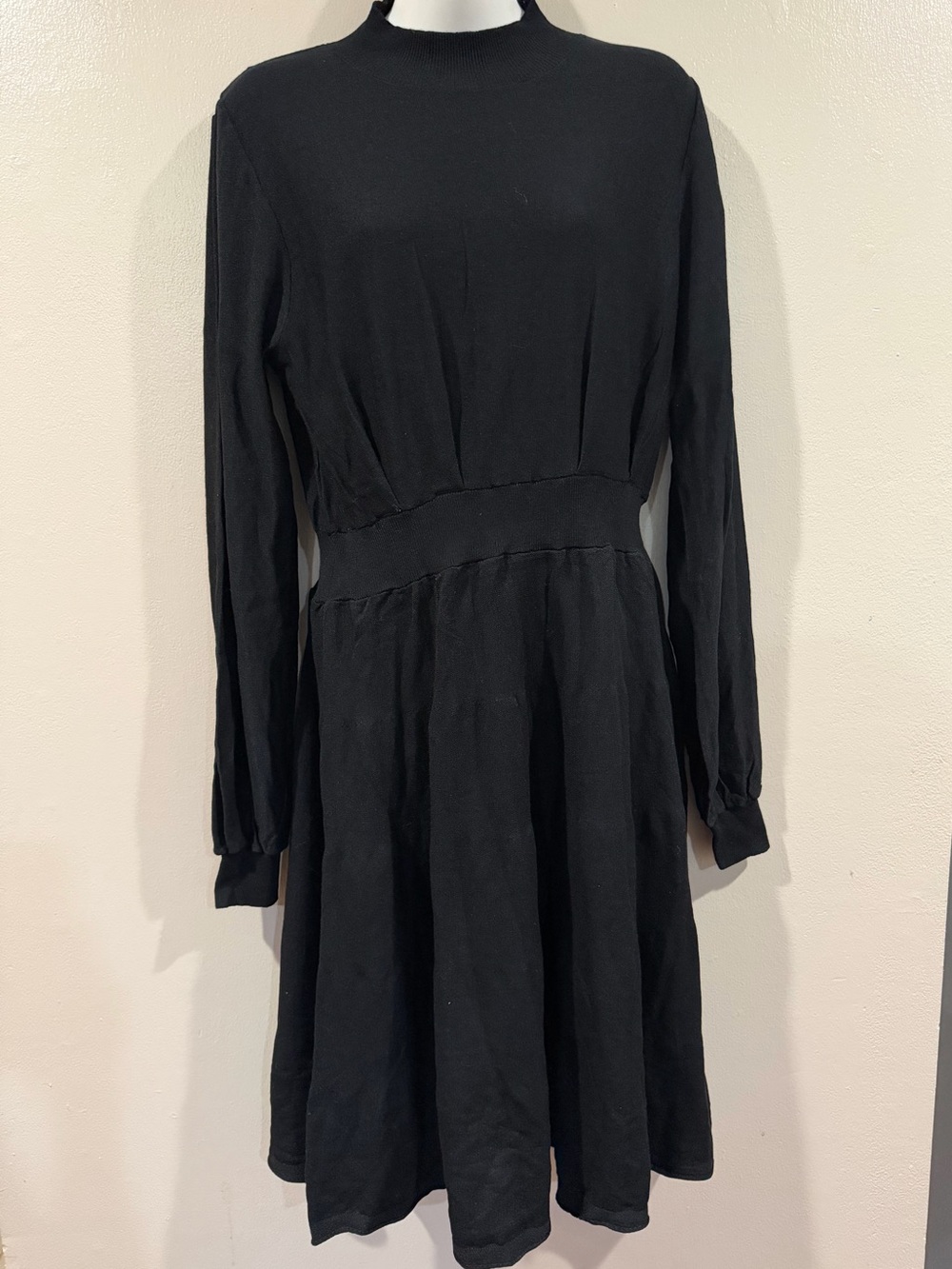 NWOT Black Long-Sleeve Fit-and-Flare Dress Medium